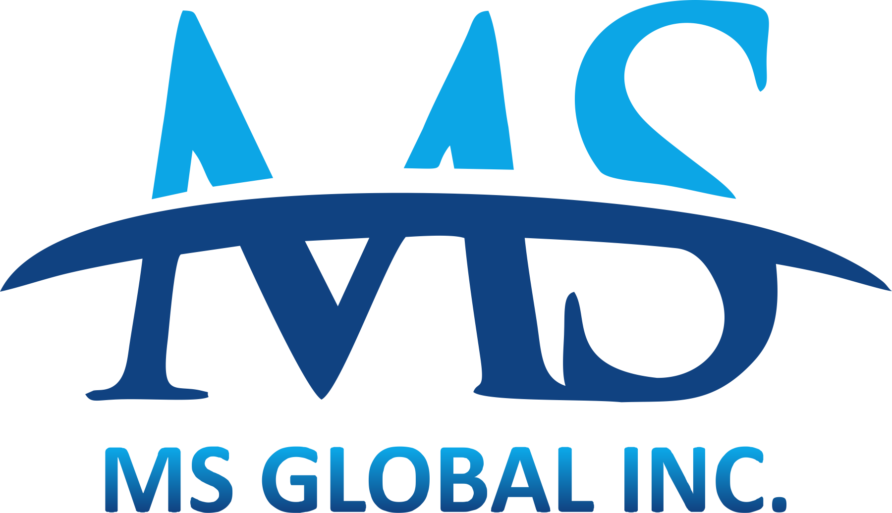 MS Global Inc.